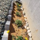 뷰티펜션 | 뷰티남해 남해독채펜션에 다녀온 후기예요