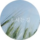 한림고등학교 (한림환승정류장(한림리))방면) | -