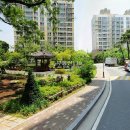 중앙동151 이미지