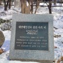 대한매일신보