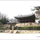 영순작은도서관 | 창덕궁昌德宮 후원後苑 &#39;부용지芙蓉池&#39; 주변