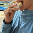 사파머신(주) | [hanoi ep.2] 하노이에서 사파까지 G8버스 생생후기 + 사파 피스타치오호텔 추천