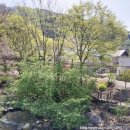 설악밸리 펜션민박 | 가평글램핑 가평펜션 가평캠핑장 가평애견동반펜션 가평애견동반글램핑 리즈밸리글램핑펜션