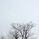 학생 전희 효자비 이미지