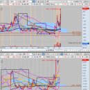 와이지바이오코리아 이미지