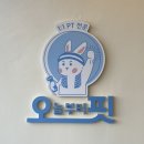 신촌PT 여성전용 헬스장 오늘부터핏 헬린이 운동 후기