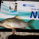 입동제 이미지