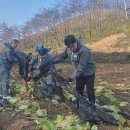 동안동농협 이미지