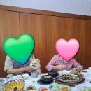 달평석갈비 | 🐶애견동반 식당 달평석갈비, 강아지와 첫 고깃집 방문 후기🥩