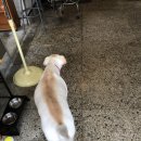 라이드올스테이카페클럽 이미지