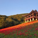 10월 기도 및 법회 이미지
