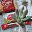 재재언니 Daum카페