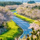 표선면-11 이미지