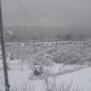 철뚝농장 이미지