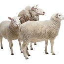 건양건설 이미지