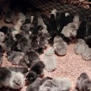 현주슈퍼 이미지