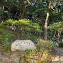 덕사 - 1736 | (경북 청도) 산책하기 좋은 덕절산자연생태공원