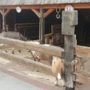 (주)정정당당 이미지