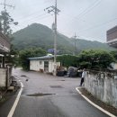 노랑약국 이미지