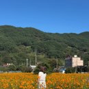 구례군청소년수련원 이미지