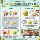 그린시스 배, 이영자가 극찬한 초록배 효능과 먹는법