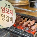 나성동_메가타워1건너편 | 세종양꼬치 '한성양꼬치' 통통한 양꼬치가 있는 나성동 맛집 방문 후기