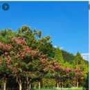 진주종합경기장 파크골프장 이미지