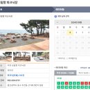 피크장 | 울산 주전 보밑항 피크닉장 다녀왔습니당 (꿀팁 有)