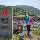 길따라행복 | 🌿 [올레길 18코스 완주 후기] 꽃길 따라 걷고, 바다 바라보며… 8시간의 행복한 여정 🌊