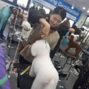 청주프로펫평생교육원