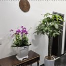 용문워시존 이미지