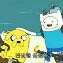 카페아르보