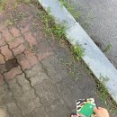 현대 아반테 cn7 바디케어 뒷범퍼 도색 및 교체 후기
