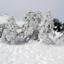 한라산 콘도미니엄 이미지