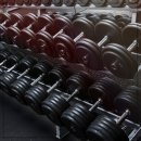 휘트니스 피플 이미지