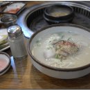 돼지의유혹 이미지