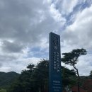 강원도 홍천 계곡이 있는 카페 피콕빌리지