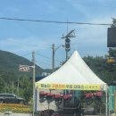 옥룡면 동곡산장옆주차장 | 광양 옥룡계곡 동곡계곡 아이•어른 물놀이 스팟 (화장실 O, 주차장 O, 취사 O)