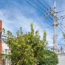 덕포초등학교 이미지