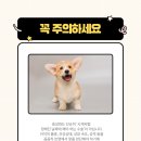 바로 동물병원 이미지