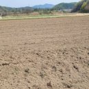 영해공인중개사사무소 이미지