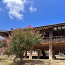 김대감찜닭 이미지