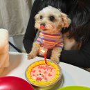 Honey eat (허니잇) 이미지