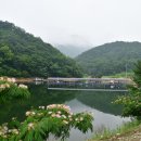 의평낚시터 이미지