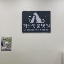 거산동물병원 네이버블로그