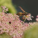 명지 검도관 | 전라북도 완주군 명지검도관, 후기, 위치, 연락처