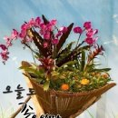 수지상사 이미지