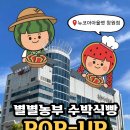 뉴코아아울렛창원점 | 함안 수박식빵 뉴코아아울렛창원점 구매후기