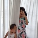엘림유치원 이미지