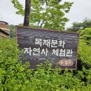 좋은목재 | [체험] 청양 목재문화 자연사 체험관│초등학생 아이랑 실내 체험 후기